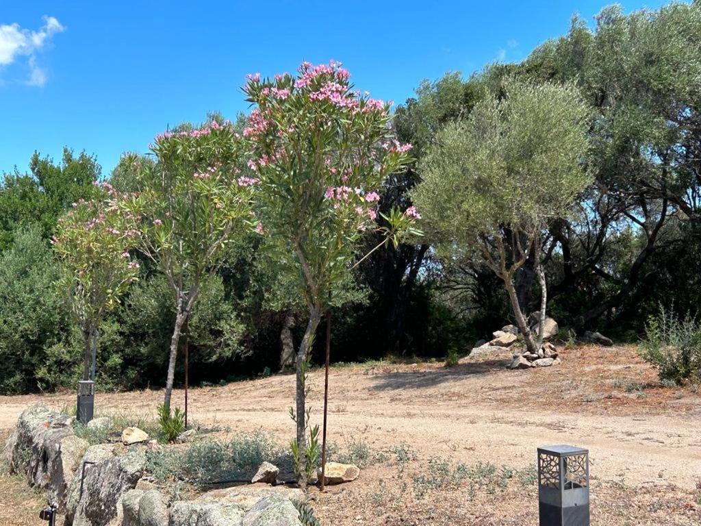 La Piana Holiday House Bassacutena Εξωτερικό φωτογραφία