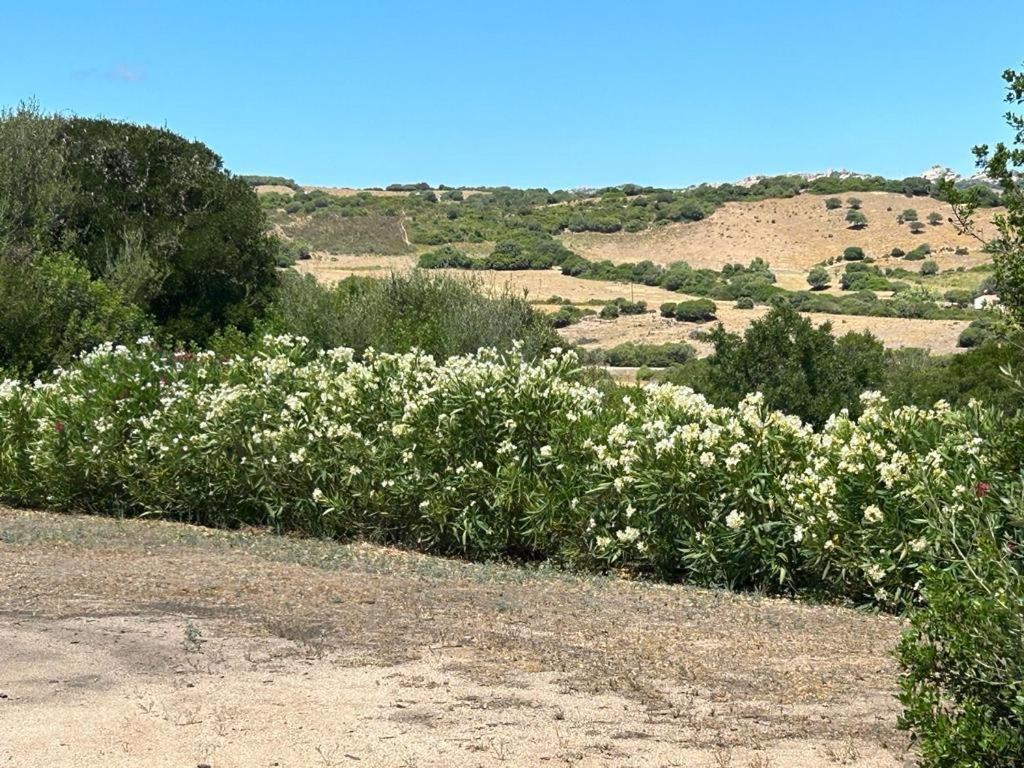 La Piana Holiday House Bassacutena Εξωτερικό φωτογραφία