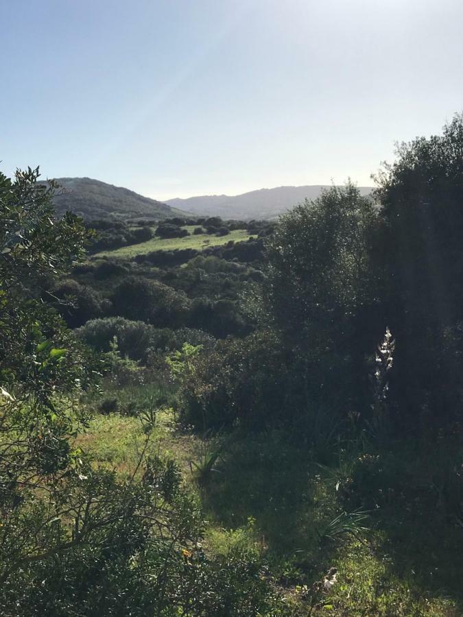 La Piana Holiday House Bassacutena Εξωτερικό φωτογραφία