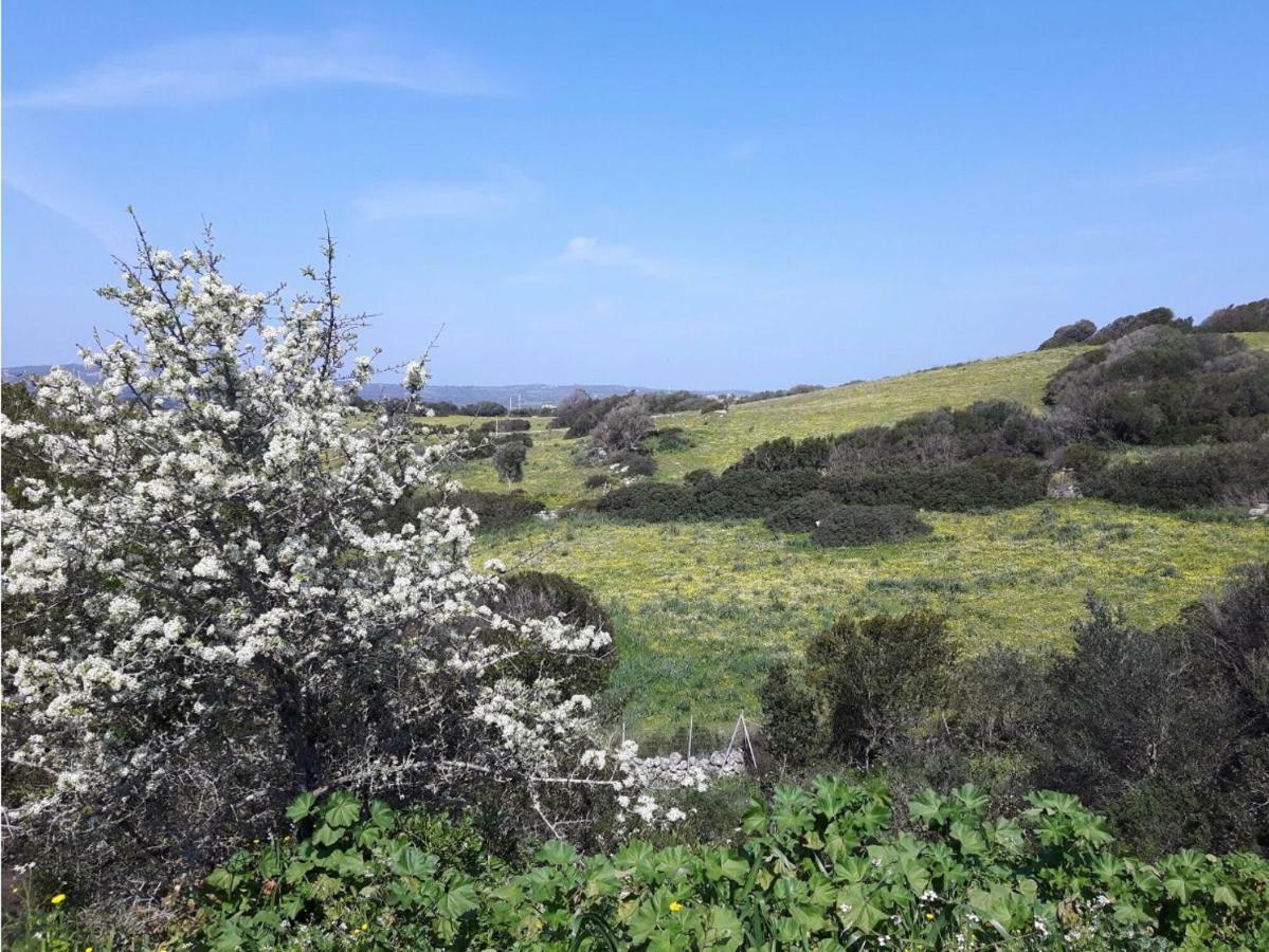 La Piana Holiday House Bassacutena Εξωτερικό φωτογραφία