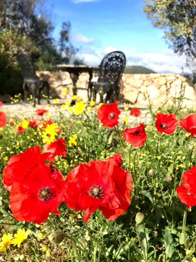 La Piana Holiday House Bassacutena Εξωτερικό φωτογραφία